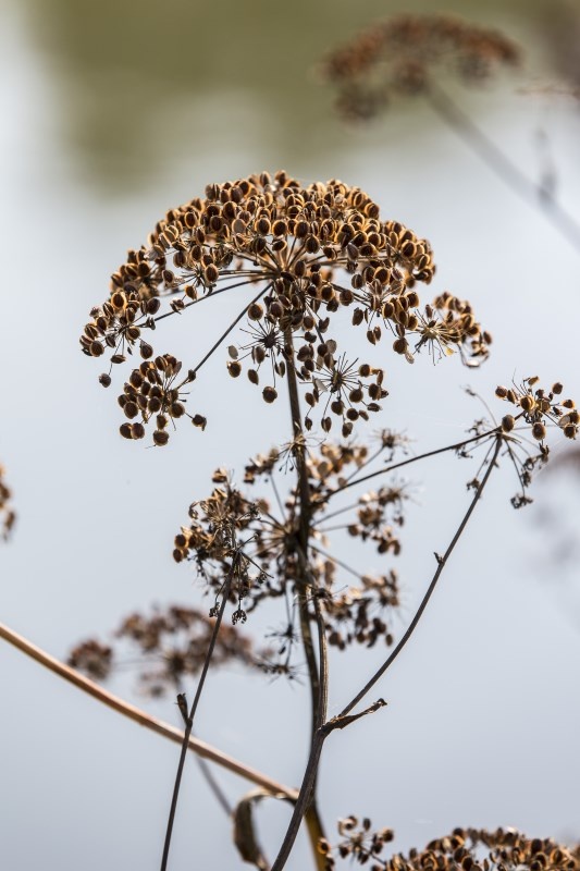 Profilbild von Cordula Ritter