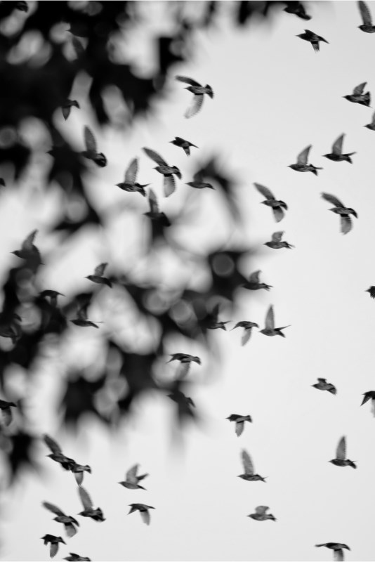 Profilbild von Olaf R&uuml;enbrink